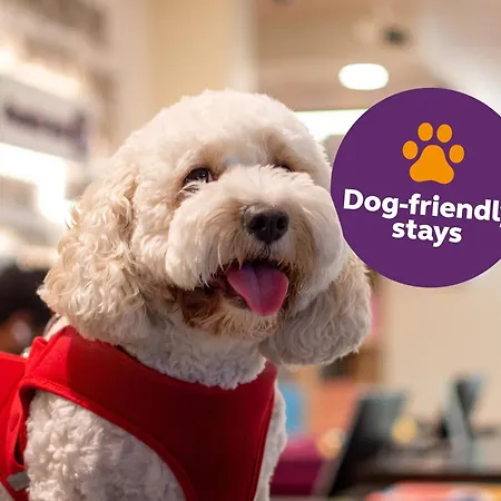 Premier Inn Dubai Silicon Oasis - An Emirates Group Company-2